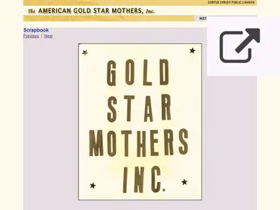 Screenshot of The American Gold Star Mothers Inc. Website