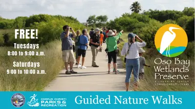 Oso Bay Wetlands Preserve Guided Nature Walks