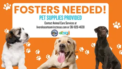 Fosters Needed. Pet Supplies Provided.