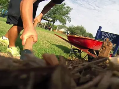 Person shoveling mulch