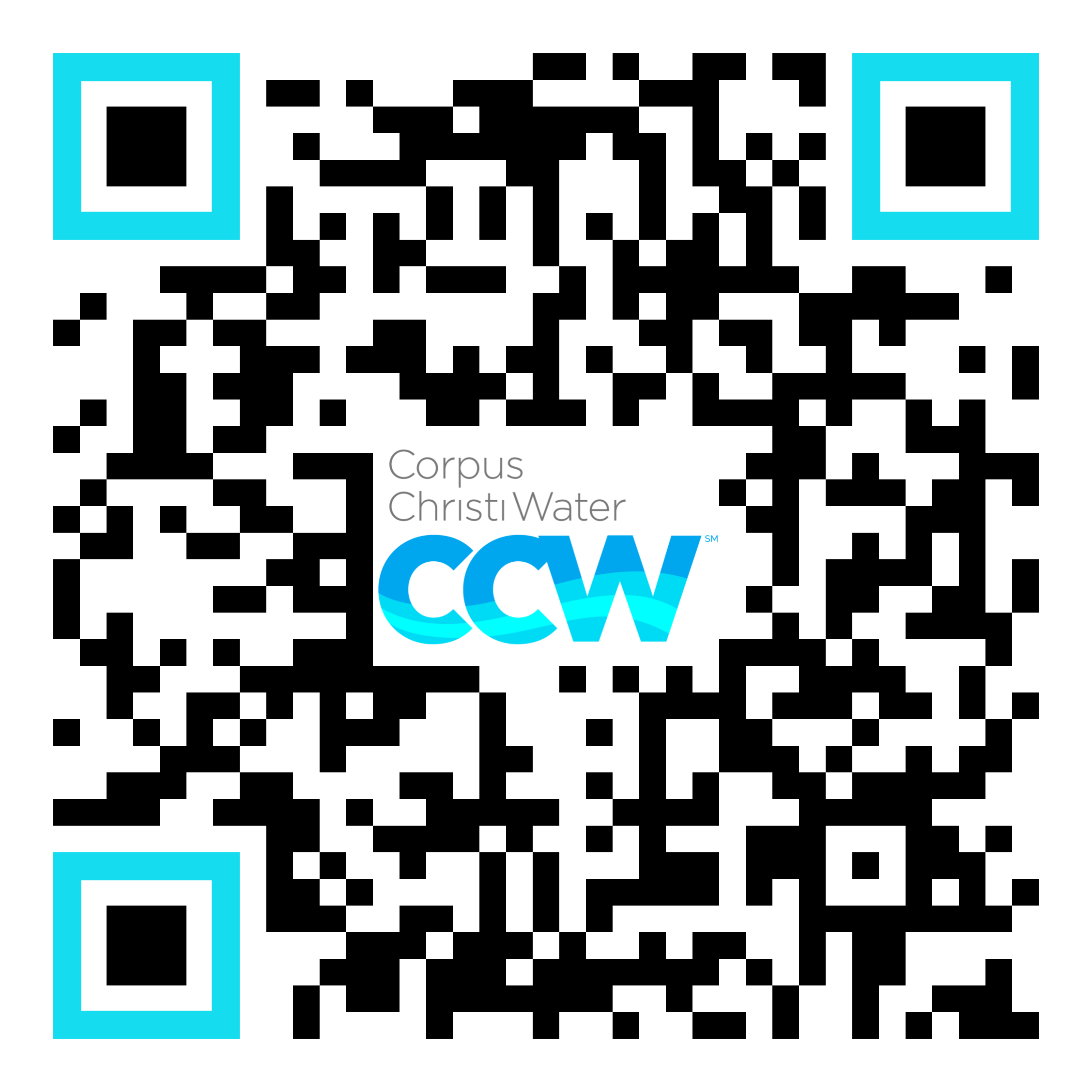 CCW Survey QR Code