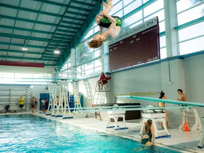 Man diving into pool