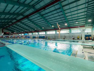 Woman diving into pool