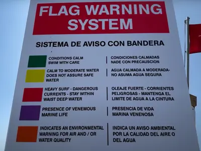 Flag System Warning