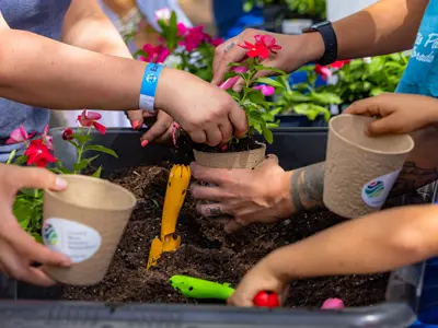 hands gardening