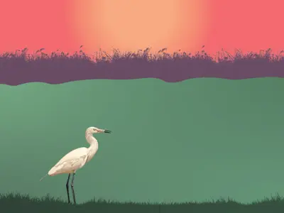 Graphic of bird near wetlands