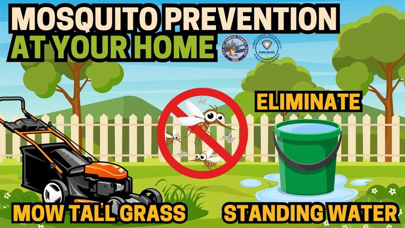 Mosquito Prevention At Your Home: Mow Tall Grass, Eliminate Standing Water