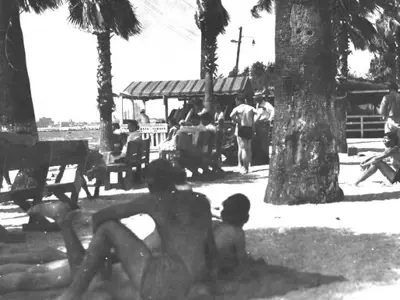 people relaxing on the beach