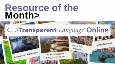 Transparent Language Online