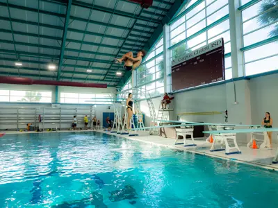 Man diving into pool